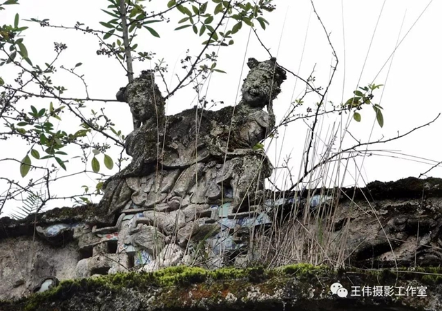 【我的乡愁】合江：高山下的陈氏祠堂(图21)