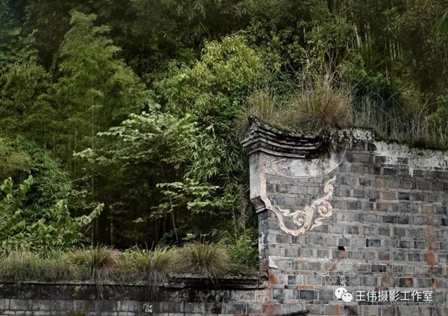 【我的乡愁】合江：高山下的陈氏祠堂(图22)