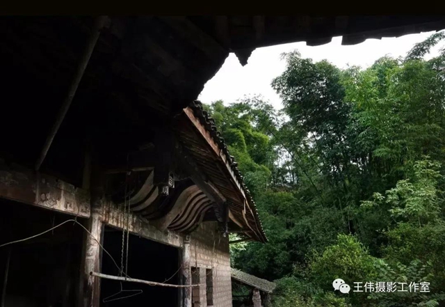 【我的乡愁】合江：高山下的陈氏祠堂(图24)