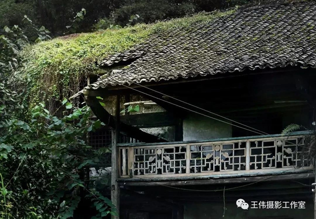 【我的乡愁】合江：高山下的陈氏祠堂(图34)