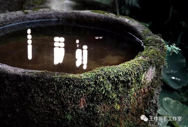 【我的乡愁】合江：高山下的陈氏祠堂(图31)