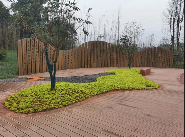 合江出现了一条超美的竹林风景线(图5)