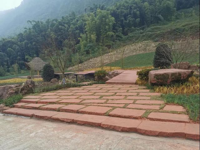 合江出现了一条超美的竹林风景线(图8)