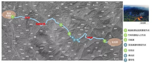 合江出现了一条超美的竹林风景线(图10)