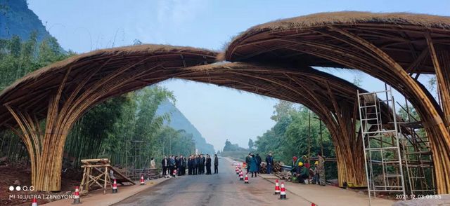 合江出现了一条超美的竹林风景线(图9)