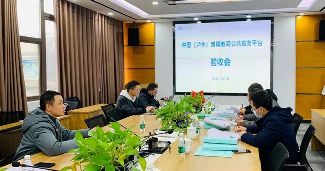 泸州跨境电商公服平台通过验收！(图1)