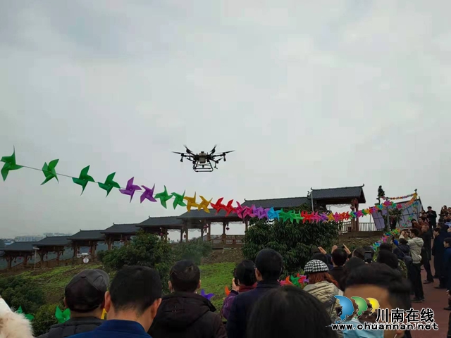 即将过去的一年，泸州这群“新”人做了些什么？(图11)
