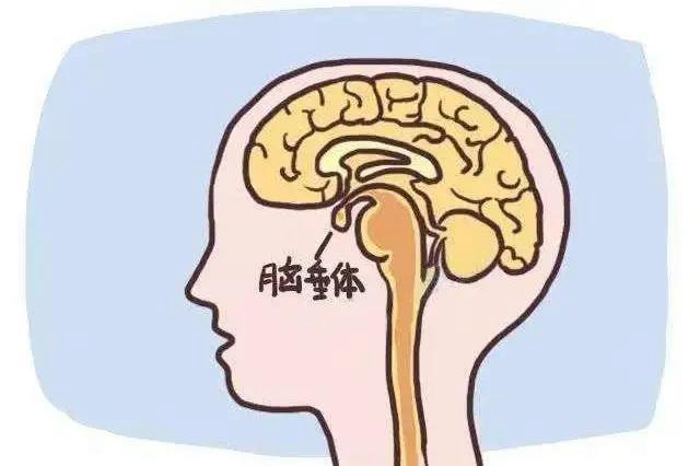 【围观】女儿不来月经，还越长越像男的？(图2)