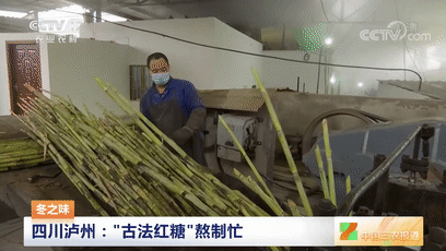甜蜜蜜！泸州美食又上央视！