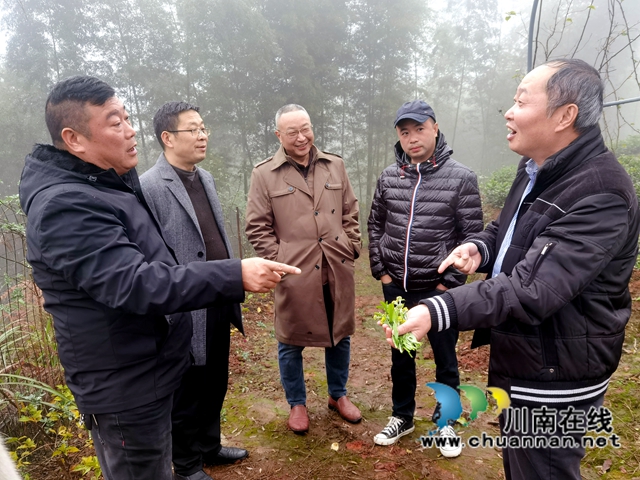 民建纳溪区基层委积极助力乡村振兴(图1)