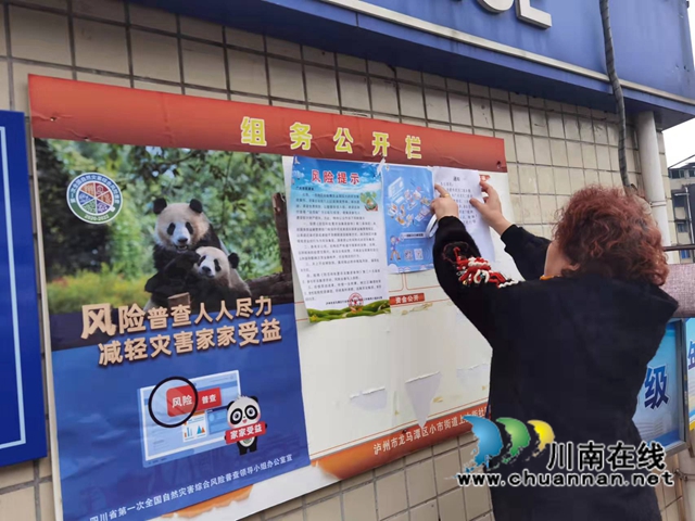 龙马潭区小市街道上大街社区：多举措做好四川农民工服务平台宣传推广(图4)