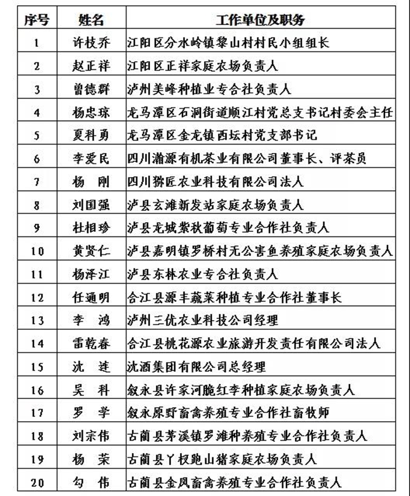 泸州市2021年度“酒城英才”创新团队和拔尖、领军人才拟入选名单出炉(图5)