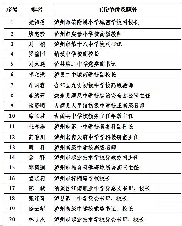 泸州市2021年度“酒城英才”创新团队和拔尖、领军人才拟入选名单出炉(图8)