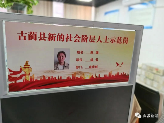 泸州市开展2021年度新的社会阶层人士统战工作实践创新基地评审(图8)