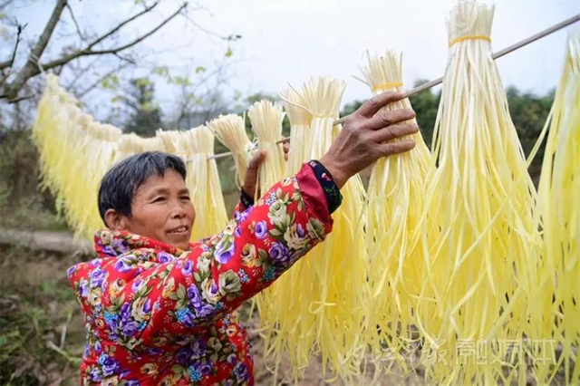 揭秘！内江牛肉面必加的韭黄，原来是这样来的！(图6)