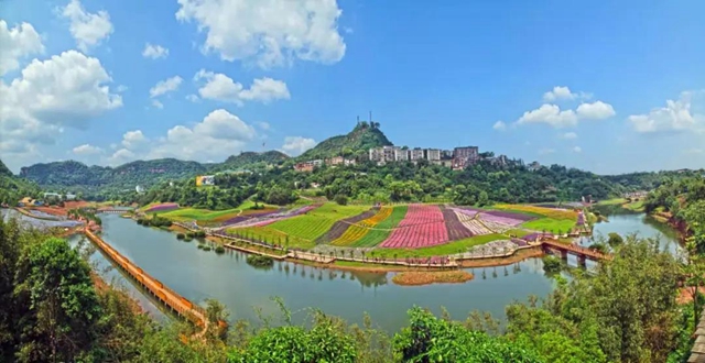 污水沟旁种出500亩花海,泸州纳溪打造“中国最美小流域”示范样板(图3) 污水沟旁种出500亩花海,泸州纳溪打造“中国最美小流域”示范样板(图3)