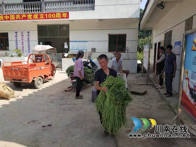古蔺县观文镇：乡贤助力发展绿色有机高山蔬菜，打通乡村脱贫振兴路(图4)