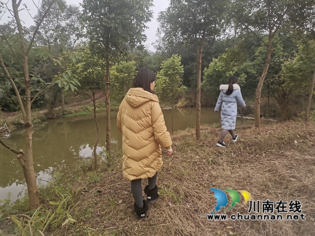 泸县云龙镇：开展常态巡河护河，破解河道治理难题(图1)