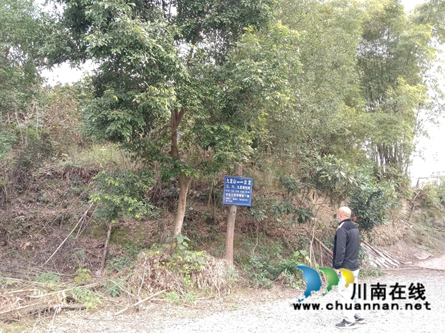 泸县云龙镇:开展森林防火巡查工作,筑牢护林防火“安全网”(图1) 泸县云龙镇:开展森林防火巡查工作,筑牢护林防火“安全网”(图1)