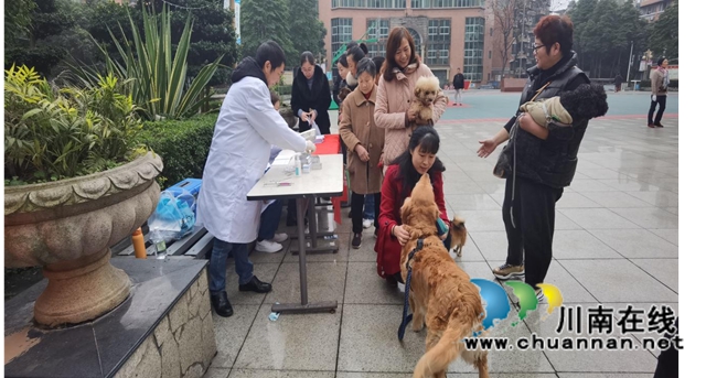 龙马潭区红星街道天立社区：开展狂犬疫苗接种注射工作(图2)