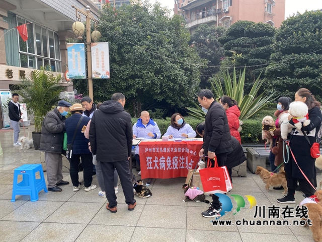 龙马潭区红星街道天立社区：开展狂犬疫苗接种注射工作(图1)