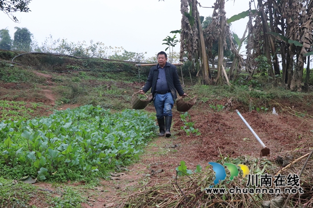 龙马潭区鱼塘街道:人生百态,劳动最美(图3) 龙马潭区鱼塘街道:人生百态,劳动最美(图3)