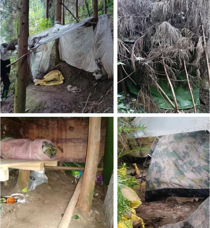 叙永深山躲藏五年遥控贩毒，没跑脱 !(图3)