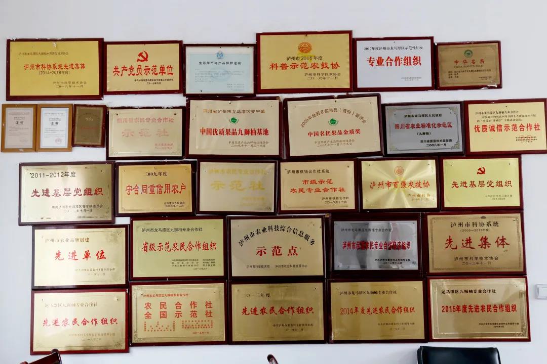 泸州“九狮柚”获30万元质量品牌奖励资金(图3)