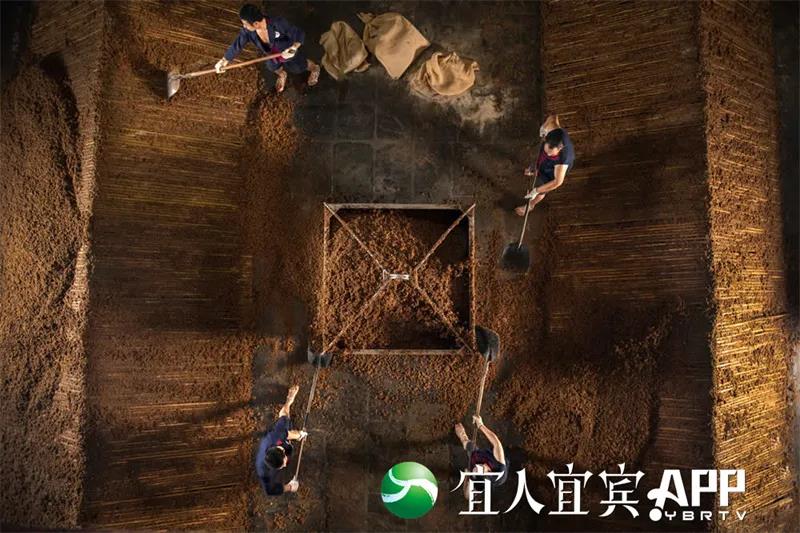 酒都宜宾 香醉世界 2021中国国际名酒博览会在宜宾盛大开幕(图5)