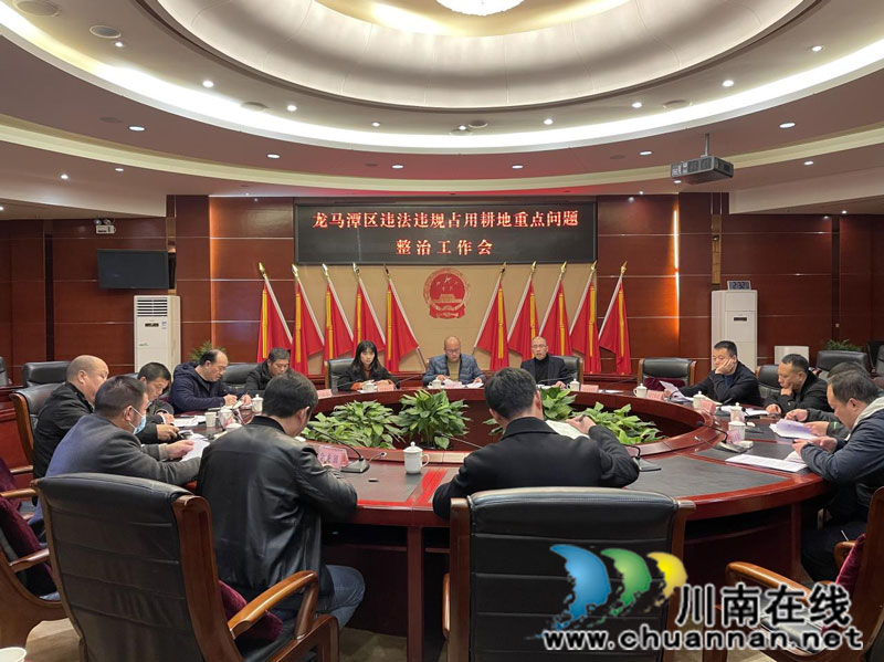 龙马潭区召开违法违规占用耕地重点问题整治工作会(图1)
