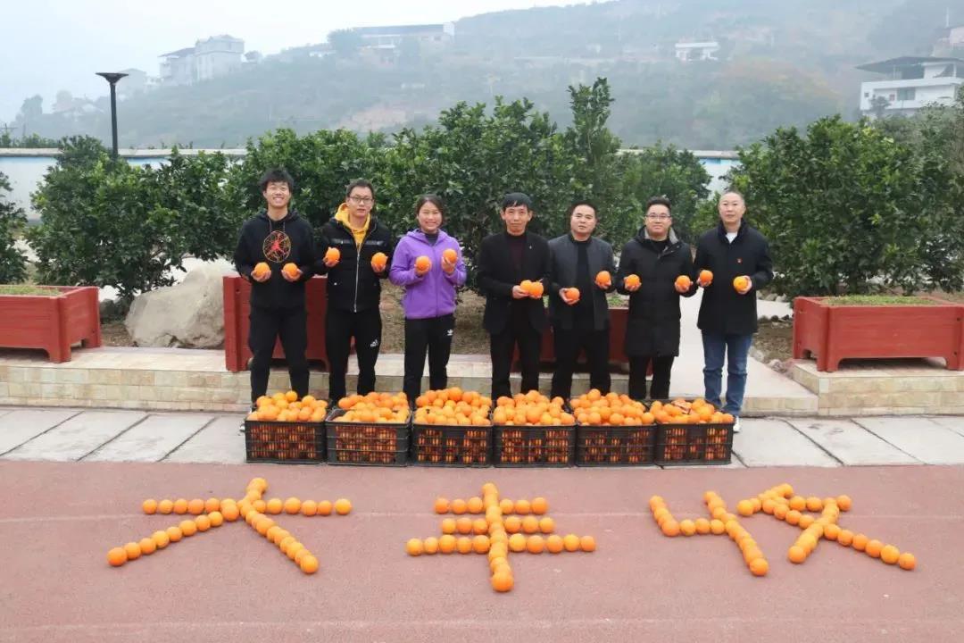 暖冬时节,这所学校师生邀您齐享良“橙”美景(图6) 暖冬时节,这所学校师生邀您齐享良“橙”美景(图6)