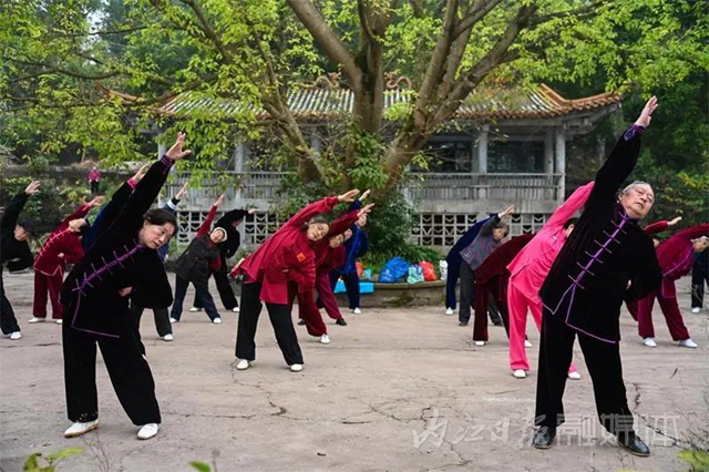 天哪！内江竟有高手在公园同练武侠小说里的绝学“易筋经”！(图14)