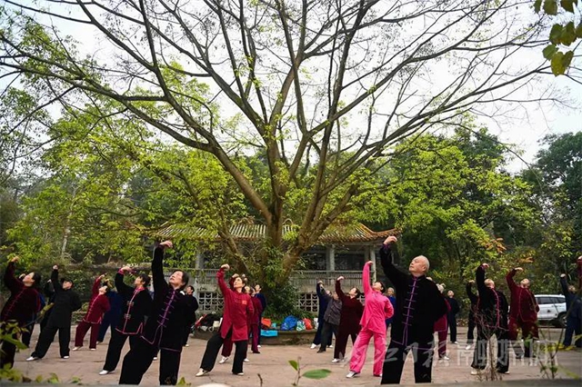 天哪！内江竟有高手在公园同练武侠小说里的绝学“易筋经”！(图9)