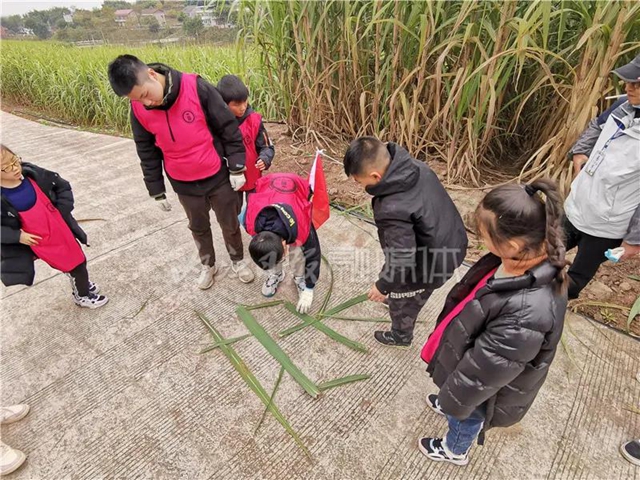 真甜!50名内江学生甘蔗地里寻“甜味儿”(图6) 真甜!50名内江学生甘蔗地里寻“甜味儿”(图6)