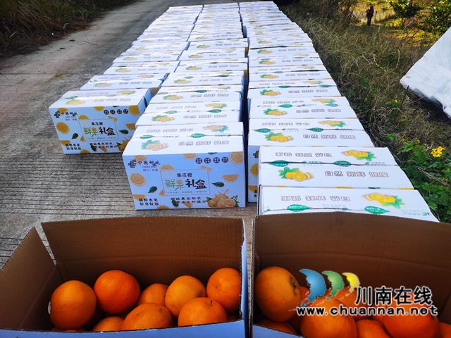 泸县立石镇：邮政推进惠农合作，助力乡村振兴(图3)