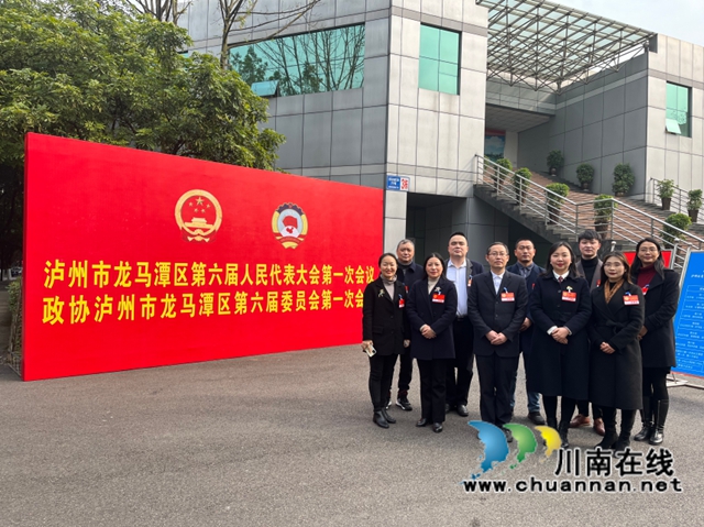 民盟泸州市龙马潭区基层委员会：建言献策为民生，政协会议展风采(图1)