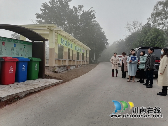泸县综合行政执法局到太伏镇兆雅镇督导农村生活垃圾分类工作(图2)
