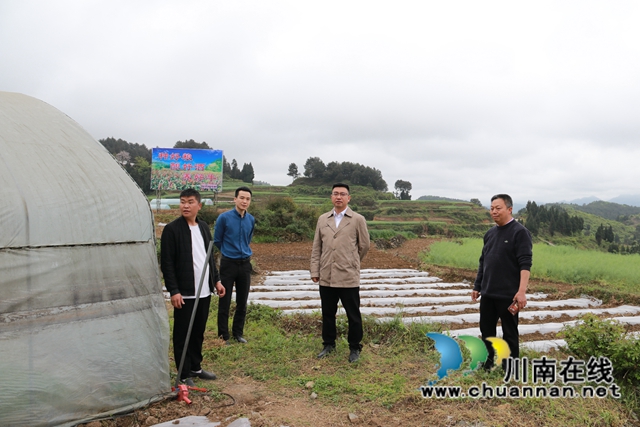 古蔺县二郎镇：田坎上的“尖兵”(图3)