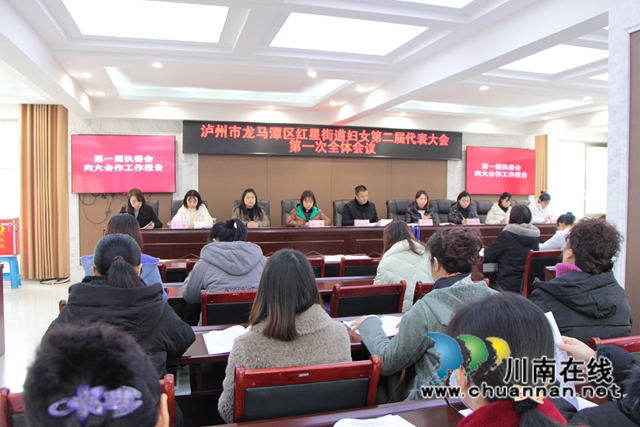 龙马潭区红星街道召开妇女第二届代表大会(图1)
