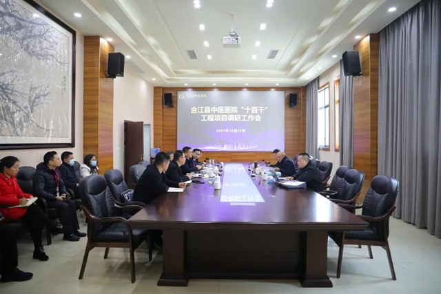 合江县中医医院接受泸州市“十百千”工程项目调研(图1)