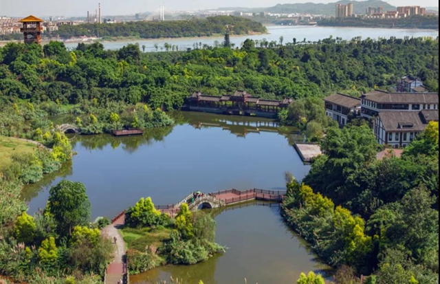 张坝桂圆林景区成为泸州首家省级中医药健康旅游示范基地(图2)