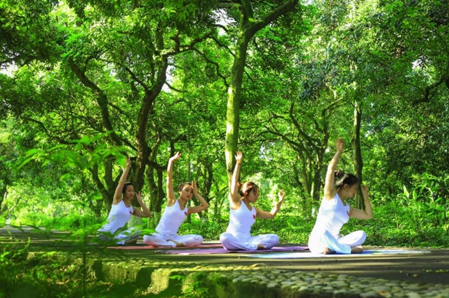 张坝桂圆林景区成为泸州首家省级中医药健康旅游示范基地(图4)