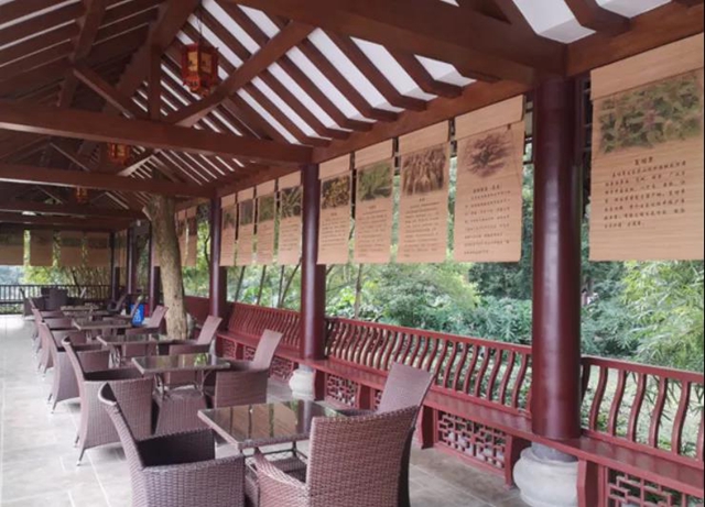 张坝桂圆林景区成为泸州首家省级中医药健康旅游示范基地(图10)
