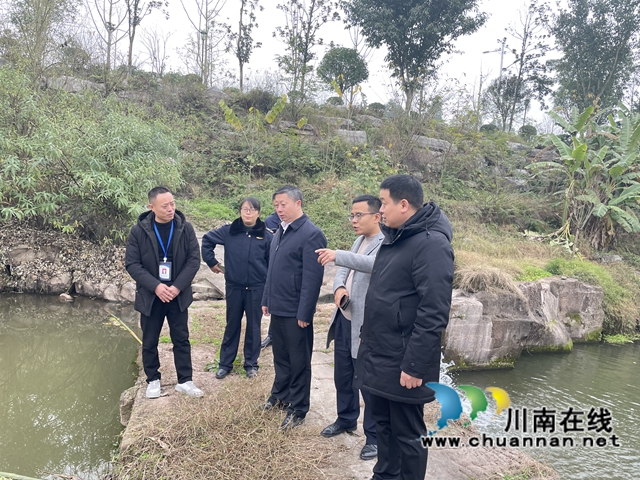 杨双全率队督导泸县小鹿溪河河长制工作(图1)