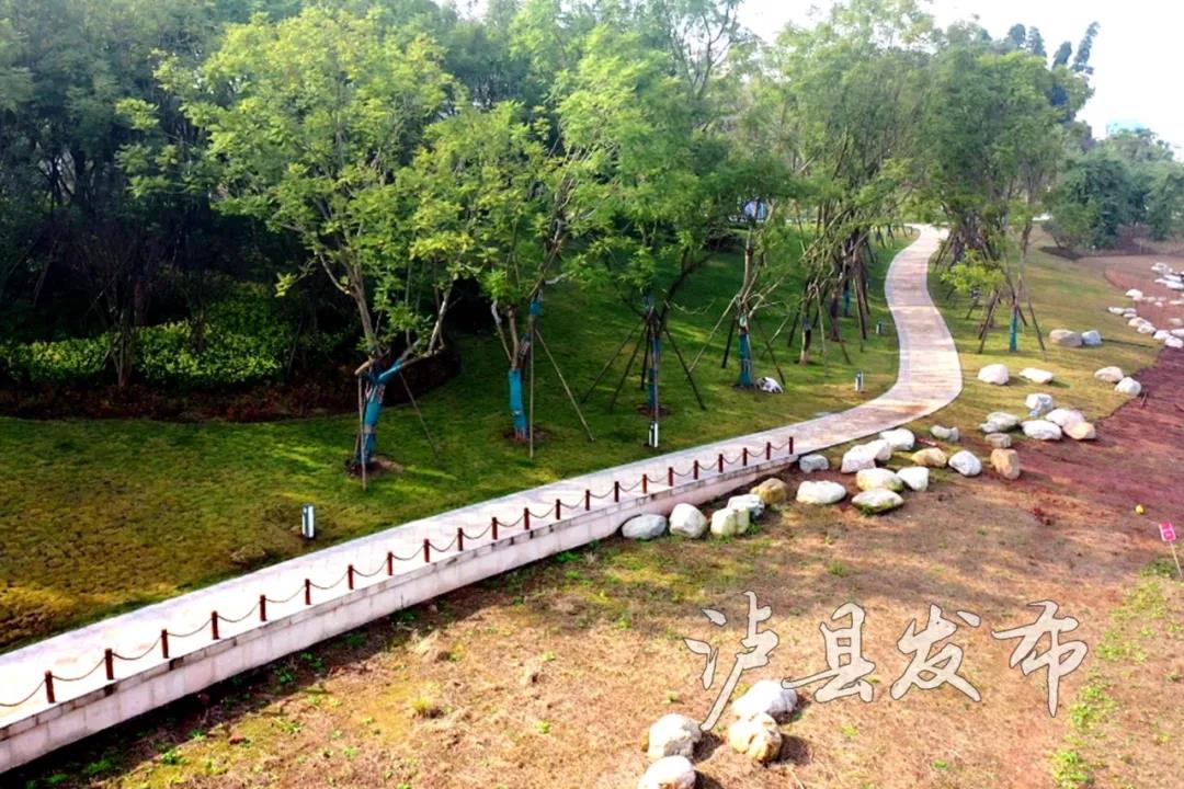 抢鲜看，泸县龙湖湿地公园最新进展来啦(图4)