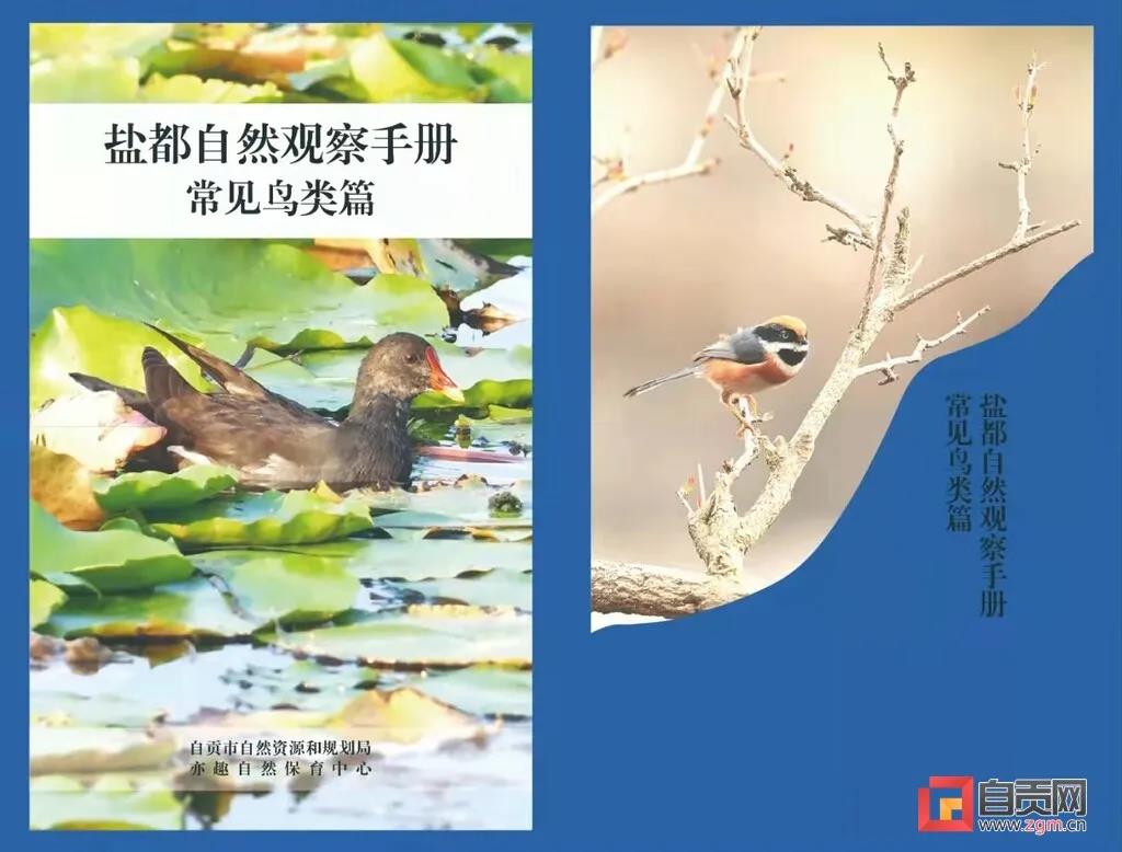 一起涨知识!自贡市第一本常见野生动物科普宣传手册正式推出(图2) 一起涨知识!自贡市第一本常见野生动物科普宣传手册正式推出(图2)