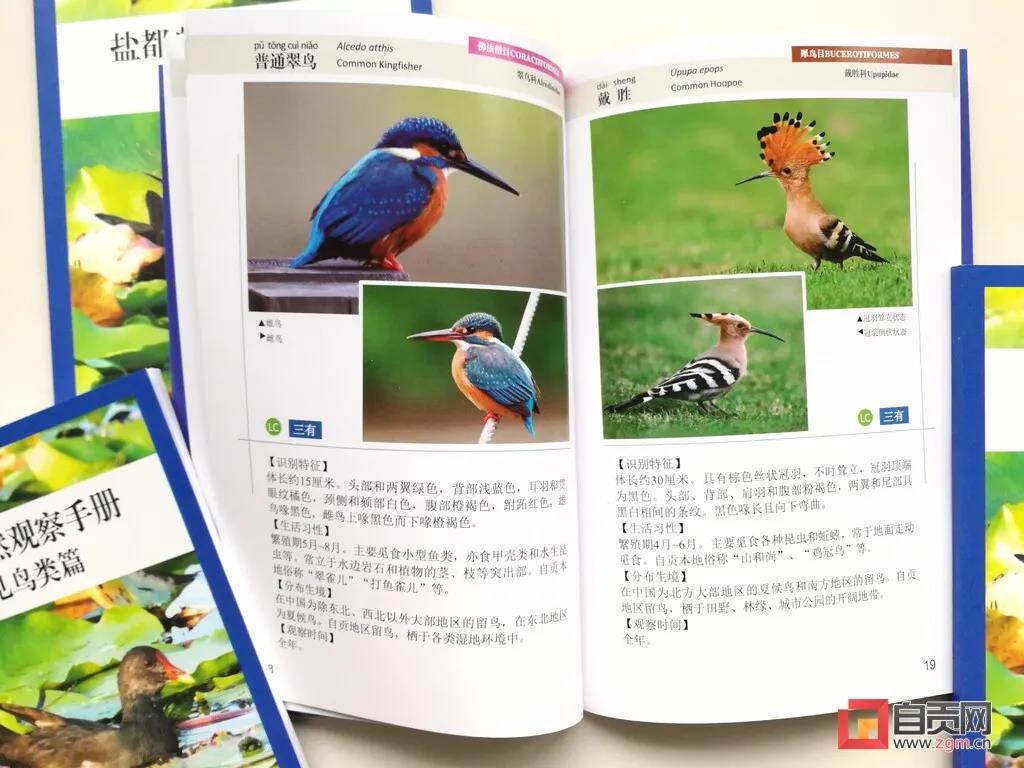 一起涨知识!自贡市第一本常见野生动物科普宣传手册正式推出(图3) 一起涨知识!自贡市第一本常见野生动物科普宣传手册正式推出(图3)