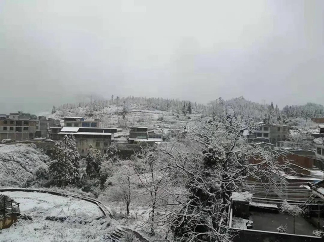 【围观】泸州下雪了，你扛得住吗？(图3)