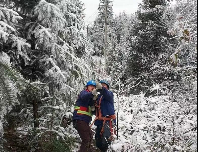 叙永县多管齐下全力应对低温雨雪冰冻天气(图1)