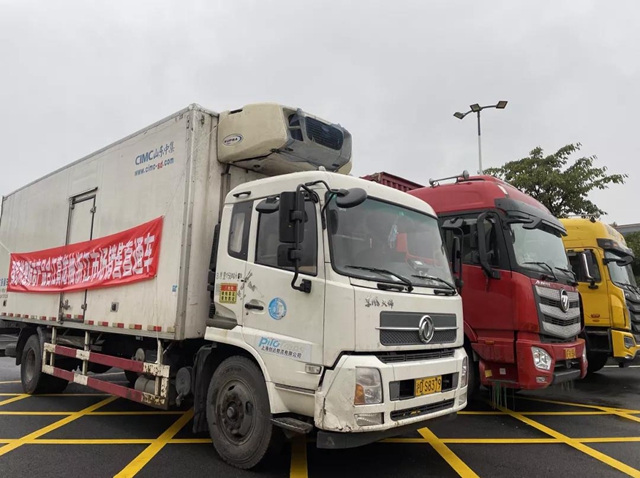 60吨直发！合江真龙柚进入浙江市场！(图2)